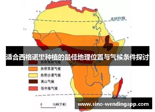适合西格诺里种植的最佳地理位置与气候条件探讨