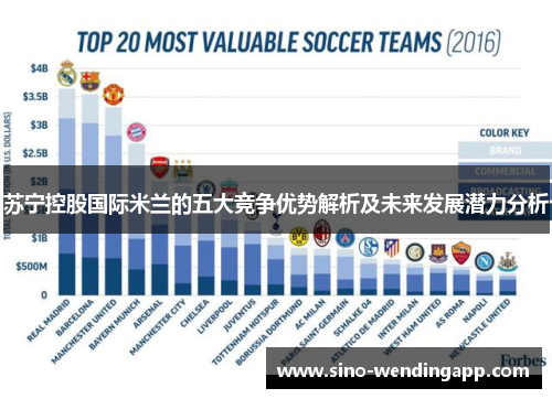 苏宁控股国际米兰的五大竞争优势解析及未来发展潜力分析