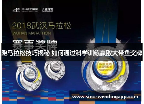 跑马拉松技巧揭秘 如何通过科学训练赢取大带鱼奖牌