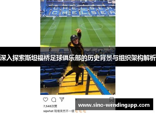 深入探索斯坦福桥足球俱乐部的历史背景与组织架构解析