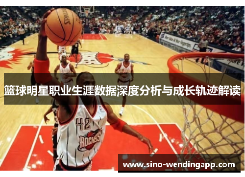 篮球明星职业生涯数据深度分析与成长轨迹解读