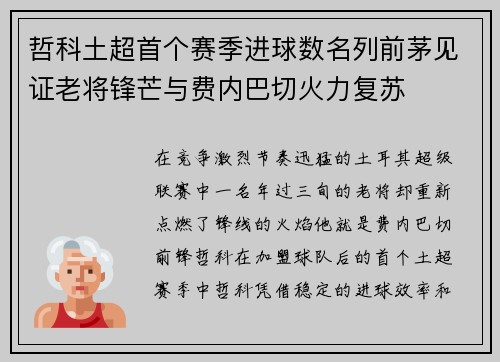 哲科土超首个赛季进球数名列前茅见证老将锋芒与费内巴切火力复苏